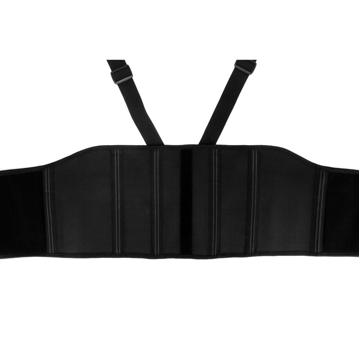 AL Gard Deluxe Heavy Duty Back Support Belt with Additional Removable Lumbar Support Cushion Pad